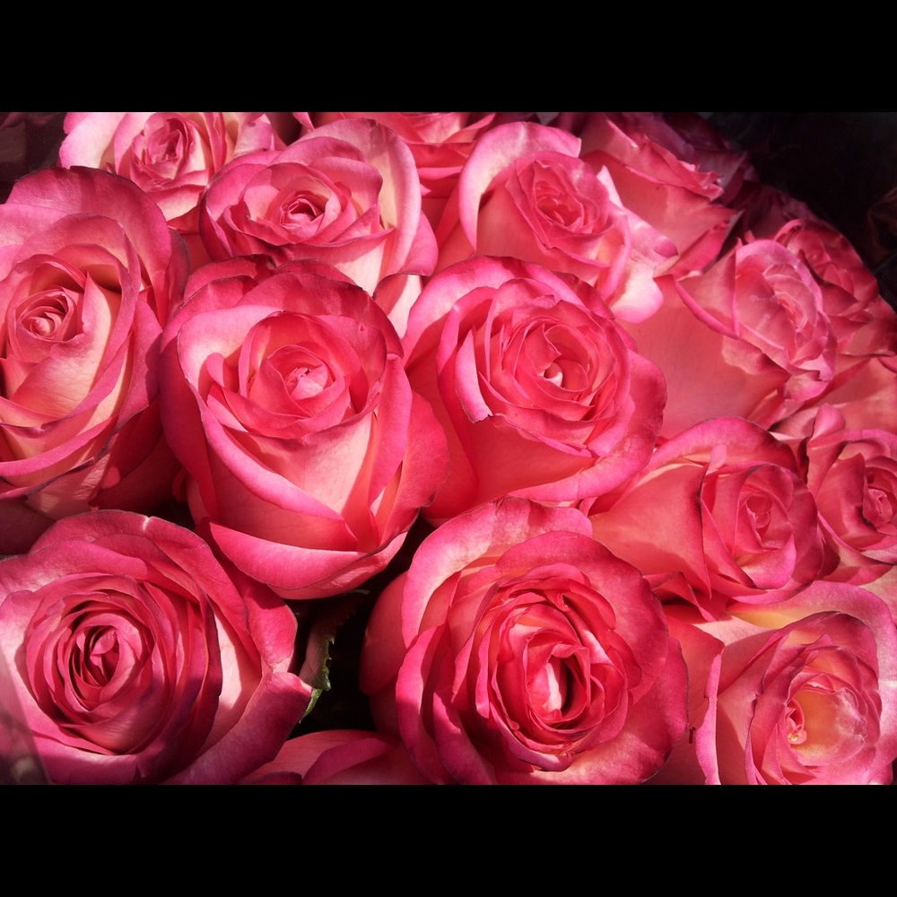 Meet your Posher, Karen